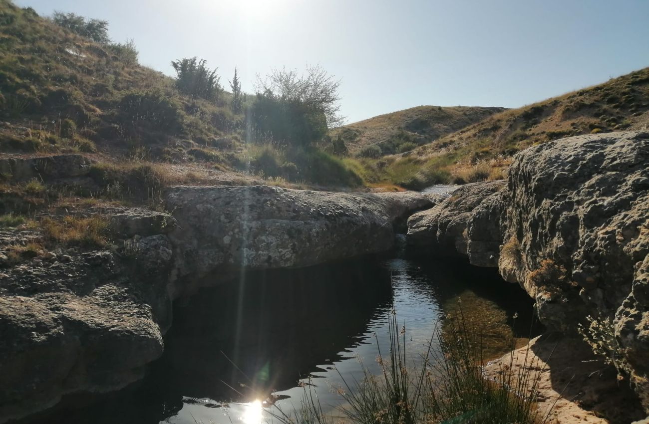 Caña Ortín