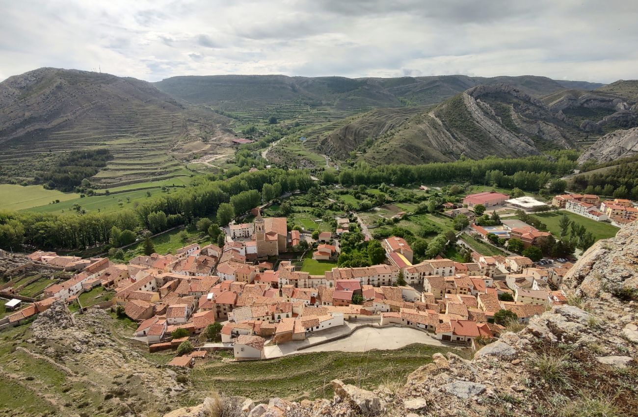 Aliaga