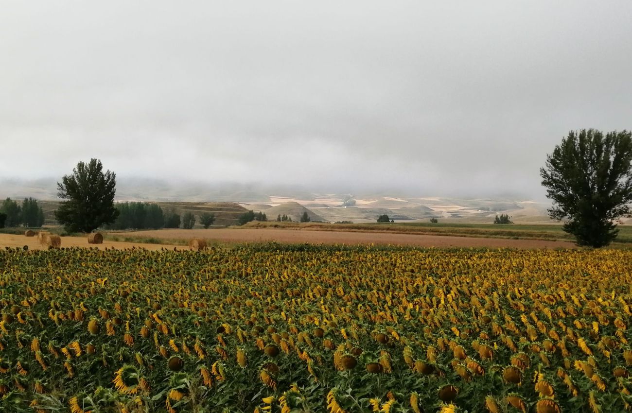 Valle del Río La Val